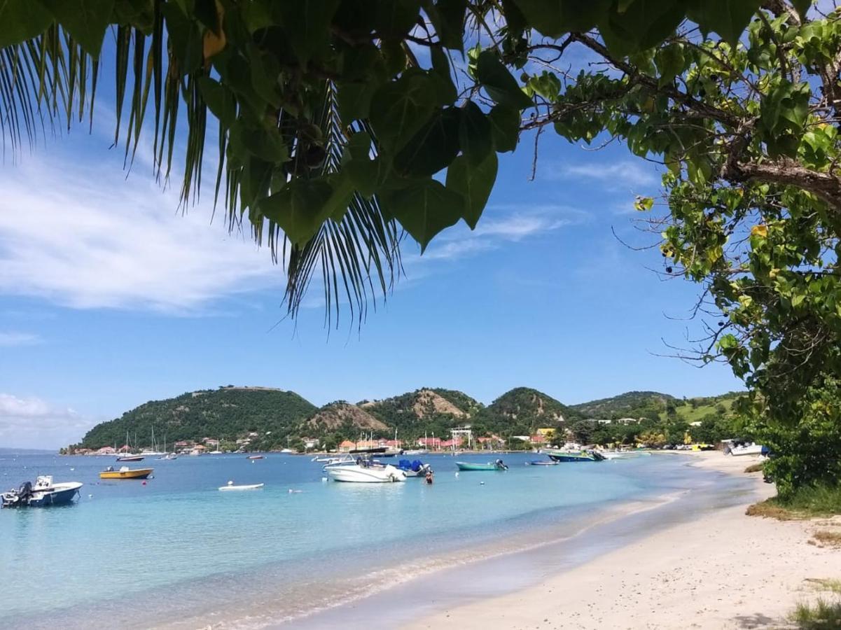 Studio 1 - Grande Anse - 4 Pers - Proche Bourg Terre-De-Haut Dış mekan fotoğraf