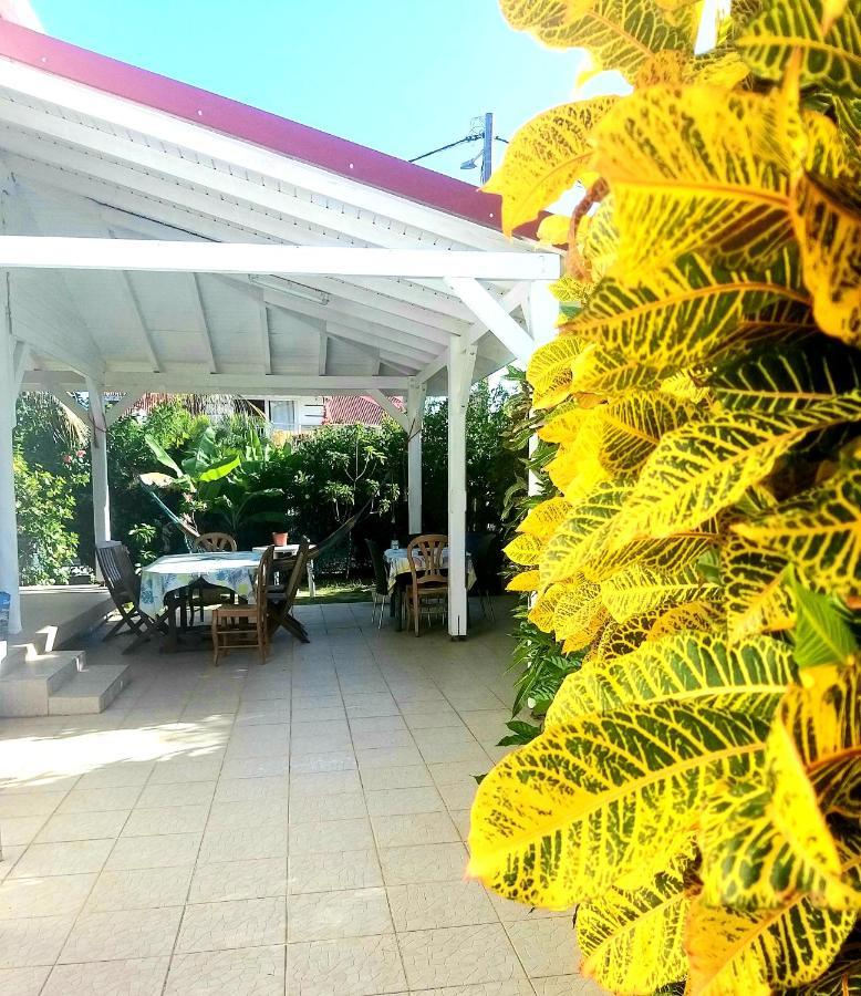 Studio 1 - Grande Anse - 4 Pers - Proche Bourg Terre-De-Haut Dış mekan fotoğraf