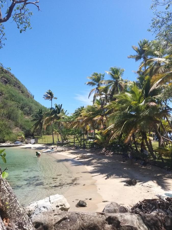 Studio 1 - Grande Anse - 4 Pers - Proche Bourg Terre-De-Haut Dış mekan fotoğraf
