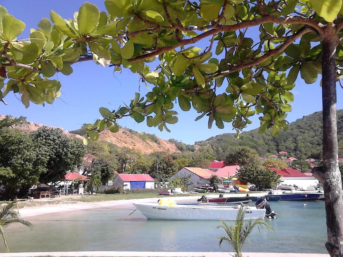 Studio 1 - Grande Anse - 4 Pers - Proche Bourg Terre-De-Haut Dış mekan fotoğraf