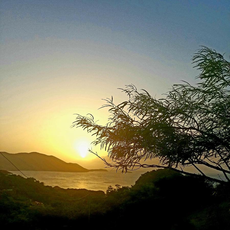 Studio 1 - Grande Anse - 4 Pers - Proche Bourg Terre-De-Haut Dış mekan fotoğraf